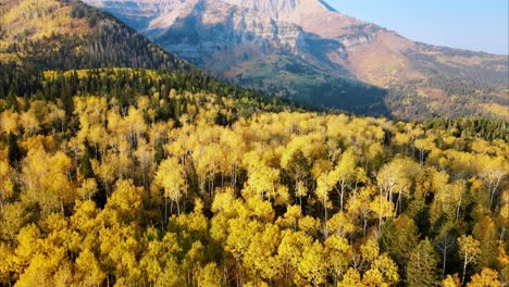 Tilting-aerial-revealing-shot-of-Mount-Timpanogos-surrounded-by-a-forest-during-fall