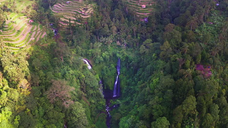 Abgestufte-Terrassenfelder-Im-Dschungeldorf-Oberhalb-Der-Fidschi-Wasserfälle-Auf-Bali