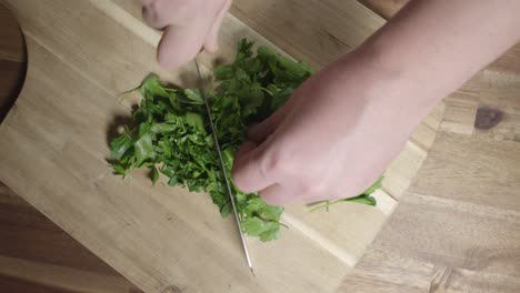 Bird's-eye-view-of-chef-chopping-flat-parsley