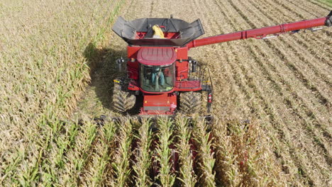 Front-of-Combine-Harvester-Cutting-Crops-to-Collect-Grain-on-a-Farm-Field,-Aerial