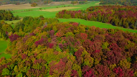 Wunderschöne-Luftaufnahme-Mit-Drohne-Des-Wunderschönen-Bunten-Waldes-Von-Montebello,-Kanada