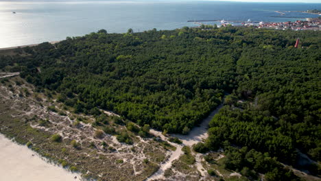 Aerial-panoramic-view-of-the-forest-and-the-beach