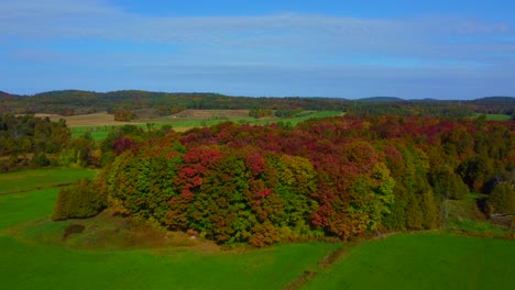 beautiful-aerial-view-with-drone-of-the-beautiful-multicolored-forest-of-Montebello,-Canada