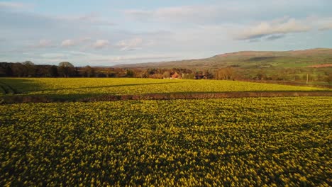 Wunderschöne-Feld--Und-Landschaftsnatur-In-Shropshire-In-England