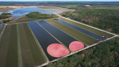 Cranberry-bogs-are-seen-from-the-air-in-central-Wisconsin