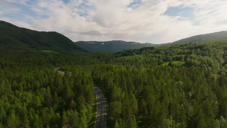 Pintoresca-Naturaleza-Verde-A-Lo-Largo-De-La-Carretera-Pavimentada-En-Un-Día-Nublado-En-Noruega