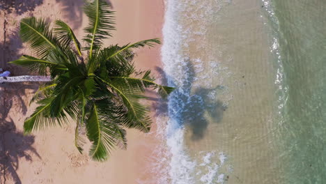 Man-swinging-on-swing-on-palm-tree-above-sea-waves-on-Koh-Kood-beach