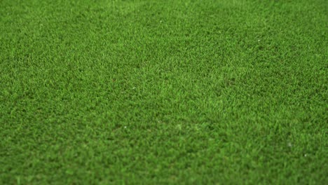 Close-up-shot-of-fake-astro-turf-grass-which-is-perfectly-made-at-the-correct-length-and-all-the-same-colour-with-individual-grass-fibers-shown