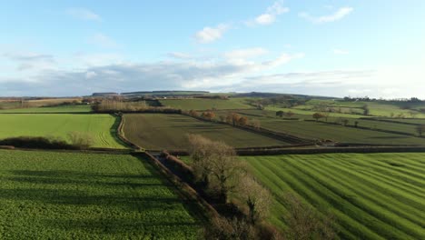 Drohne-Fliegt-über-Einen-Blattlosen-Baum-Im-Winter-Und-Enthüllt-Sanfte-Grüne-Hügel-Und-Einen-Sonnigen-Blauen-Himmel-Zur-Goldenen-Stunde,-Der-Orangefarbenes-Licht-Und-Schatten-über-Die-Hügel-In-Yorkshire,-England-Wirft