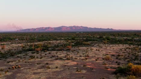 Vast-desert-landscape-with-cacti-and-Grand-Canyon-mountain-range-in-sunset