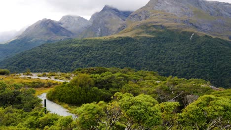 Arbustos-Ventosos-Frente-A-La-Ruta-De-Senderismo-De-Montaña-En-Nueva-Zelanda