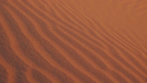 Detail-Der-Sandstrukturlinien-In-Den-Wüstendünen