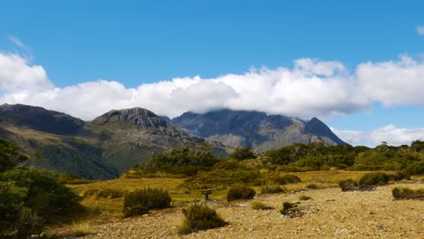timelapse-of-clouds-passing-over-mountains-with-small-alpine-shrubs-in-foreground