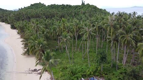 Wreck-of-isolated-shack-hut-in-tropical-beach-forest-destroyed-by-typhoon-in-port-barton