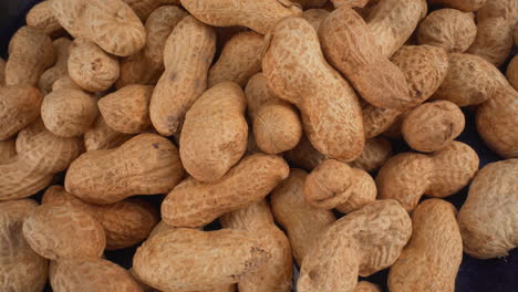 Peanuts-in-shells-on-a-blue-plate-macro-moving,-food-product-used-in-many-recipes-like-chocolates,-sauces-and-oils,-known-allergen,-healthy-nuts,-peanut-allergy,-4K-top-shot