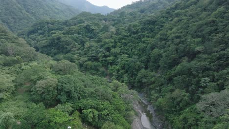 Langsamer-Vorwärtsflug-über-Rio-Bani,-Umgeben-Von-Dichtem,-Hügeligem-Dschungel-In-Der-Provinz-Peravia-Der-Dominikanischen-Republik