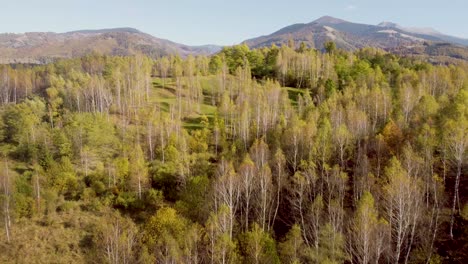 Filmische-4K-Drohnenaufnahmen,-Die-Im-Herbst-In-Rumänien-über-Einen-Wunderschönen,-Farbenfrohen-Wald-Fliegen