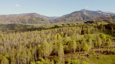 4K-Filmaufnahmen-Von-Drohnen,-Die-Im-Herbst-über-Einen-Bunten-Wald-In-Rumänien-Fliegen