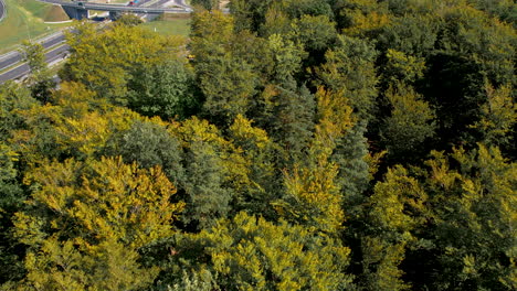Aerial-view-of-dense-trees-in-autumn-colors-with-a-highway-and-overpass-in-the-background