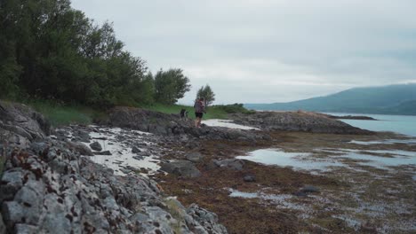 Una-Persona-Con-Su-Perro-Camina-Por-La-Orilla-Cerca-De-Stonglandshals,-Noruega