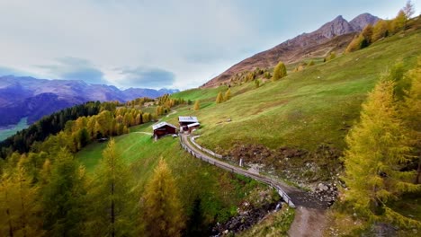 An-FPV-drone-soars-through-golden-larch-trees,-heading-towards-rustic-mountain-huts-in-South-Tyrol,-Italy,-showcasing-the-vibrant-hues-of-fall