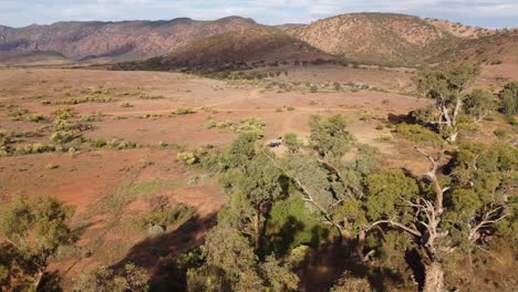 Drone-shot-showing-a-campsite-among-gum-trees-and-red-dirt-in-the-Flinders-Ranges,-South-Australia