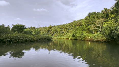 Río-Saleri-Rodeado-De-Naturaleza-En-Un-Día-Soleado-Goa-India-4k