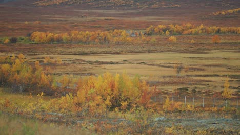 Colorful-autumn-tundra-landscape-in-Norway