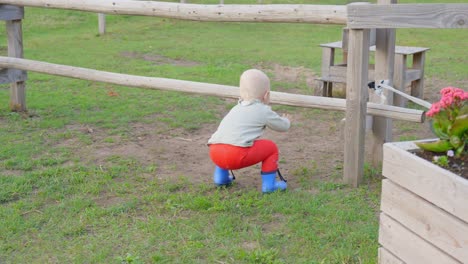 Toddler-boy-walking-in-rural-landscape,-back-view