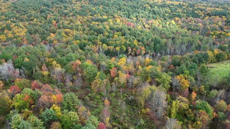 Panoramic-aerial-view-over-the-forests-of-Western-Massachusetts-in-colorful-fall-foliage