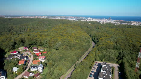 A-View-Of-Dense-Thicket-Near-Witomino-Coastal-Town-In-Gdynia,-Poland