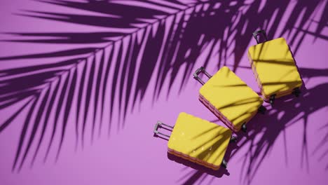 Suitcases-on-tropical-pink-background