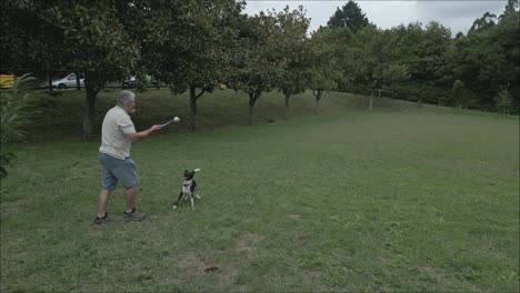 Old-European-Man-Playing-Throw-Ball-With-Black-and-White-Dog-At-The-Park