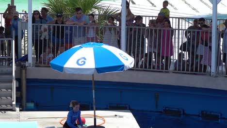 Dolphin-jumping-in-the-water-during-Dolphin-show-at-Gulfarium-marine-adventure-park-in-Destin-fort-walton-beach-Florida-USA