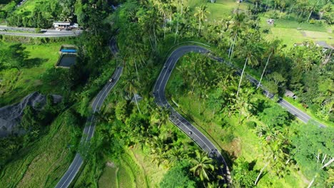 Tropische-Ruhe:-4K-Luftaufnahmen-Von-Balis-Bezaubernder-Ubud-Fahrt