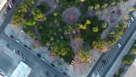 Drone-top-view-of-a-green-tree-park-in-the-center-of-a-city