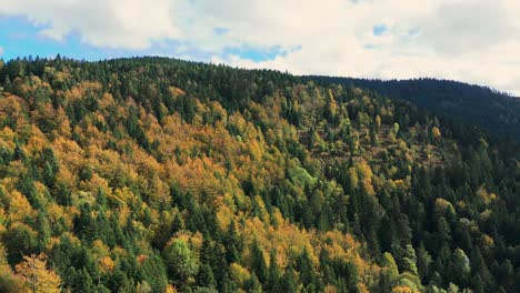 Luftaufnahme-über-Wunderschönen-Herbstlichen-Bergwald,-Langsamer-Flug,-4k