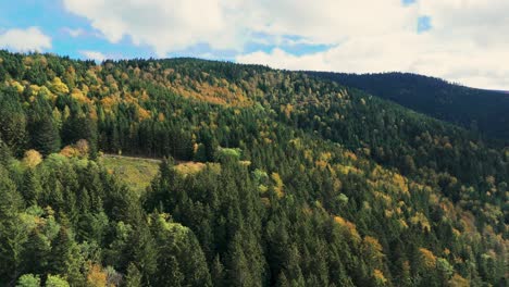Luftaufnahme-über-Wunderschönen-Herbstlichen-Bergwald,-Langsamer-Flug,-4k