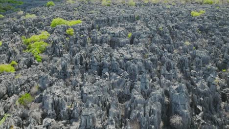 Tsingy-rocks-in-Madagascar---aerial-shot