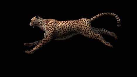 A-cheetah-running-on-black-background-with-alpha-channel-included-at-the-end-of-the-video,-3D-animation,-side-view,-animated-animals,-seamless-loop-animation