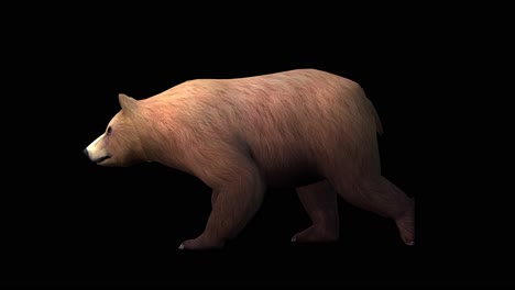 A-brown-bear-walking-on-black-background-with-alpha-channel-included-at-the-end-of-the-video,-3D-animation,-side-view,-animated-animals,-seamless-loop-animation