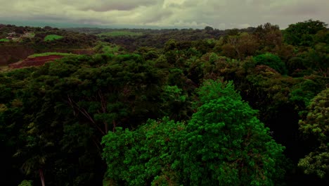 Impresionante-Panorama-De-La-Selva-Tropical-Santuario-En-Costa-Rica
