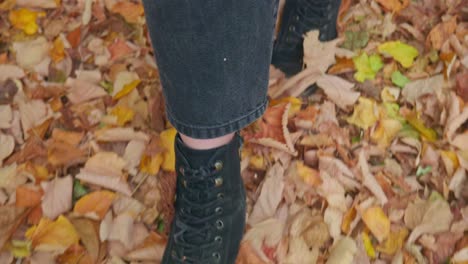 Feet-slow-walk-on-fallen-golden-autumn-leaves-close-up-track-back