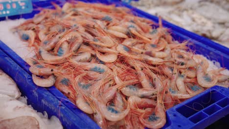 Close-up-of-fresh-red-prawns-with-roe-in-fishmonger's-shop