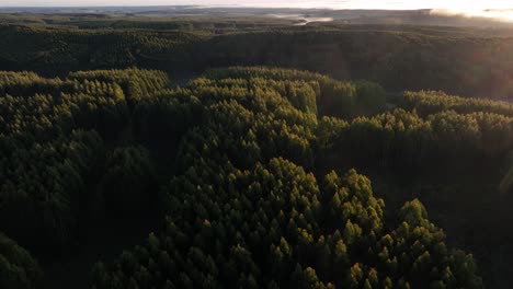 Sonnenaufgang-In-Der-Uruguayischen-Landschaft,-Sanfter-Drohnenflug