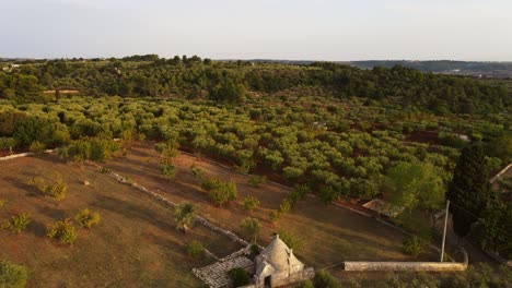 Aerial-panoramic-landscape-view-over-traditional-trulli-stone-unique-buildings,-in-Italy
