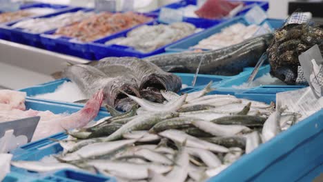 Boxes-of-fresh-fish-and-seafood-in-fishmonger's-shop