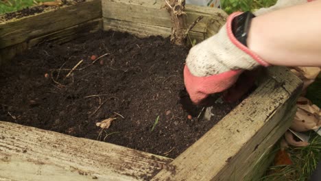 Gardener-digging-the-soil-before-planting-a-tulip-bulb-slow-motion-4k