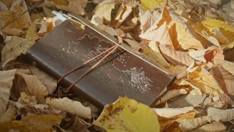 Brown-leather-bound-diary-journal-on-golden-autumn-fallen-leaves