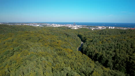 Ein-Dichter-Grüner-Wald-Mit-Gdynia-Und-Der-Ostsee-In-Der-Ferne